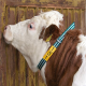 Calf collar