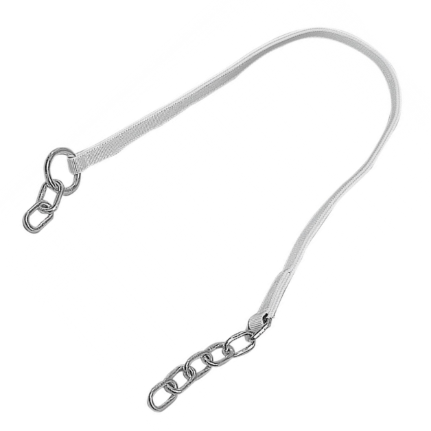 Collar and Dutch strap