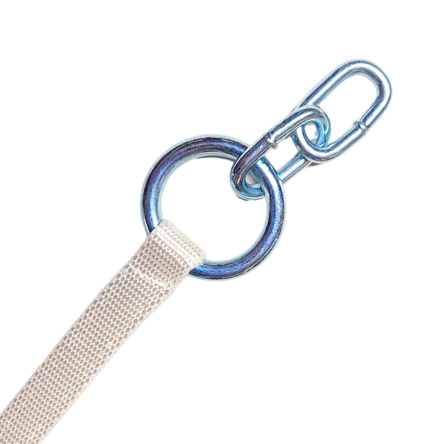 Collar and Dutch strap