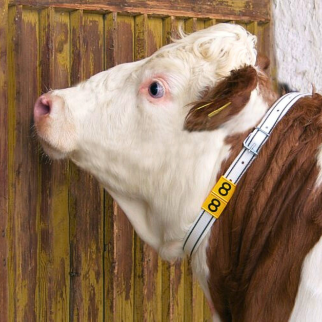 Identificatienummers