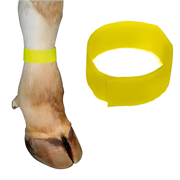 Fluorescerende klittenbandarmbanden p