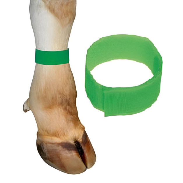 Fluorescerende klittenbandarmbanden p