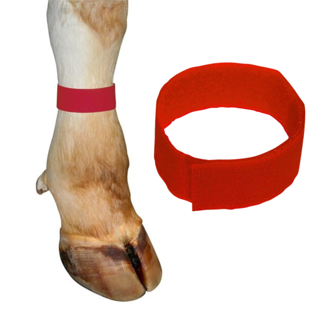 Fluorescerende klittenbandarmbanden p