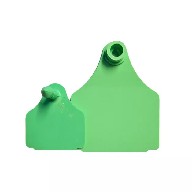 Bovine ear tags Bovine ear tags