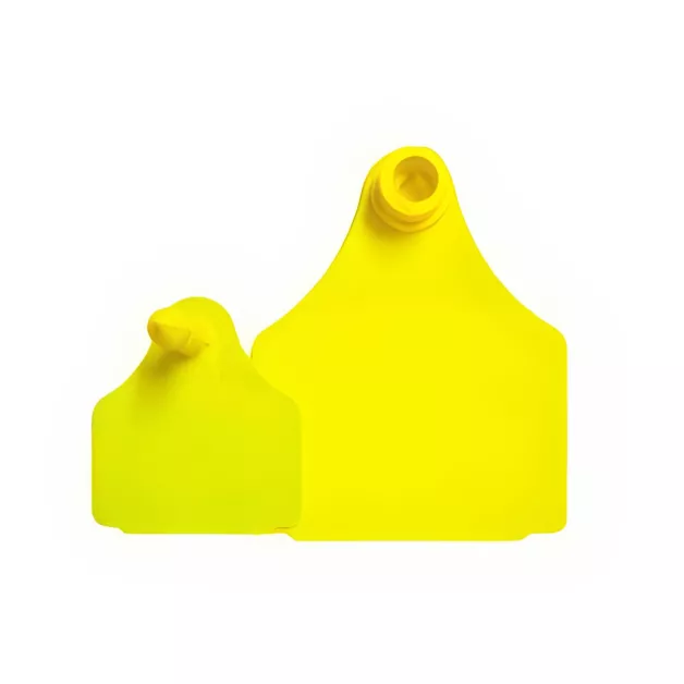 Bovine ear tags Bovine ear tags