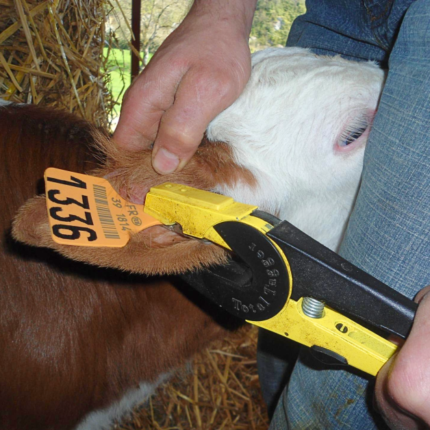 Pinces à boucler Allflex
