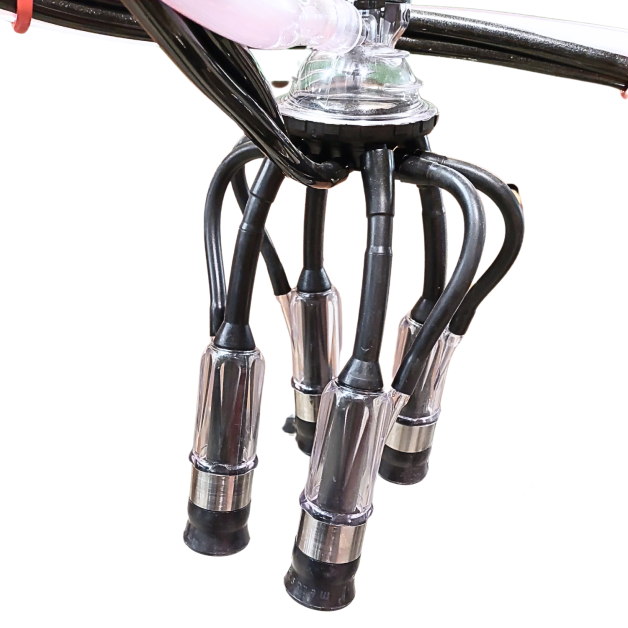 Draagbare Melasty-melkmachines Draagbare Melasty-melkmachines