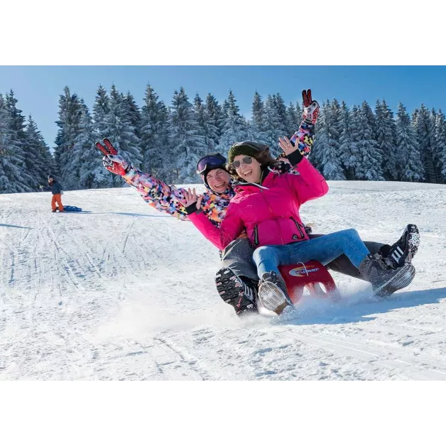 Traineau et luge Rolly Toys