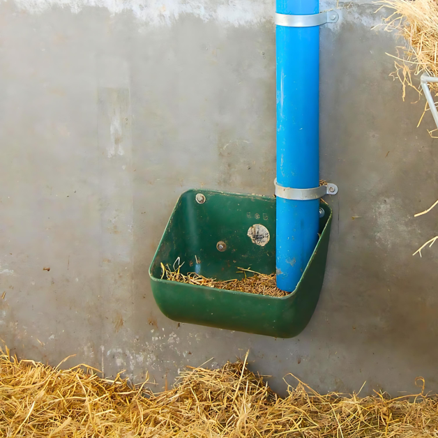 Wall-mounted livestock feeders. Wall-mounted livestock feeders.