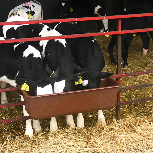 Mangeoires à suspendre Mangeoires à suspendre