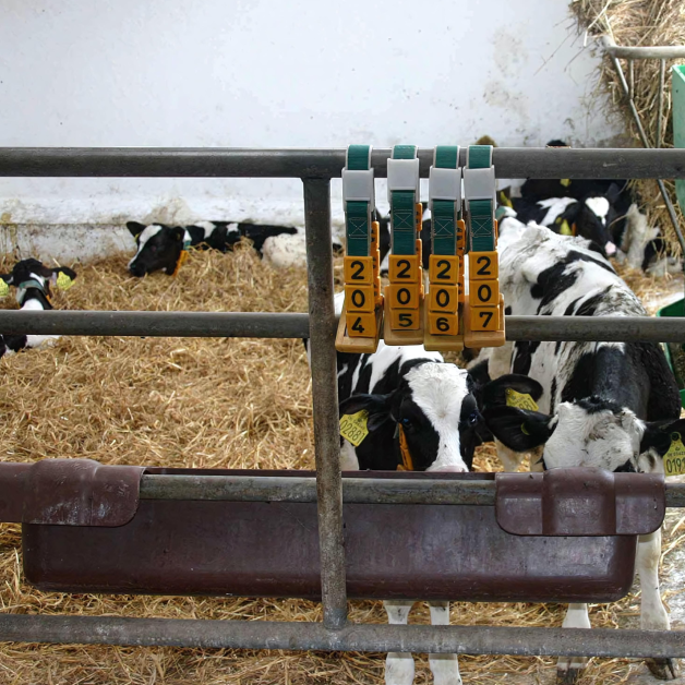 Mangeoires à suspendre Mangeoires à suspendre