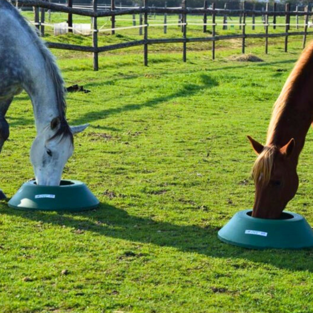 Veelzijdige voederbakken voor op de grond Veelzijdige voederbakken voor op de grond