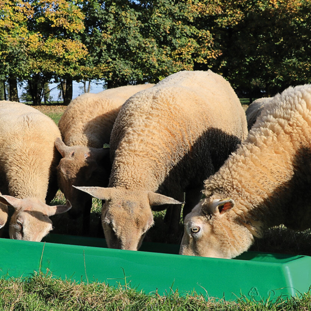 Veelzijdige voederbakken voor op de grond Veelzijdige voederbakken voor op de grond