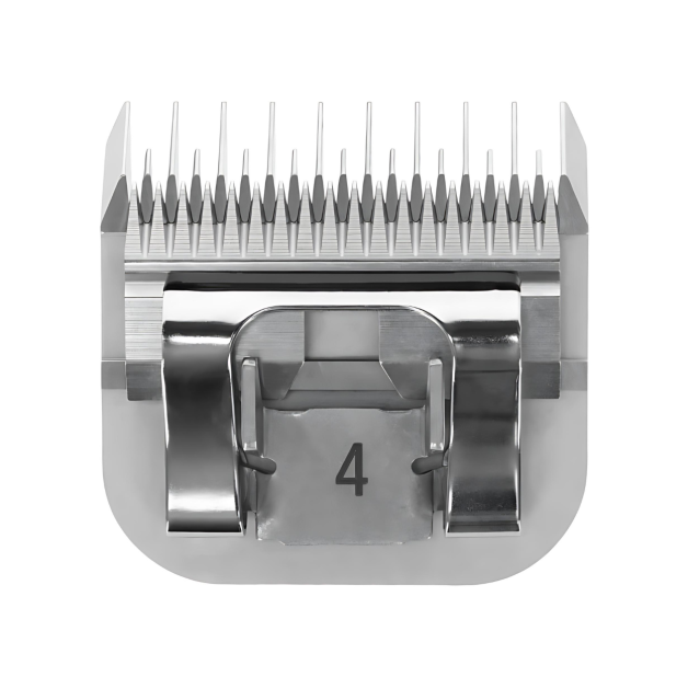 Cutting head Cutting head