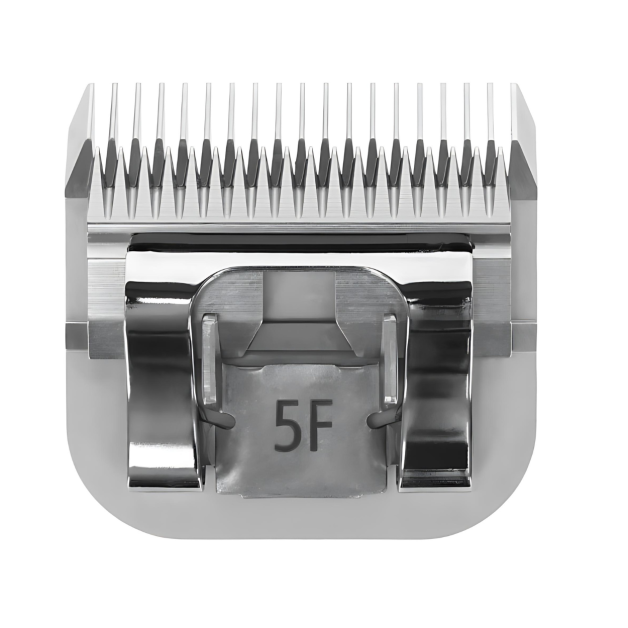 Cutting head Cutting head