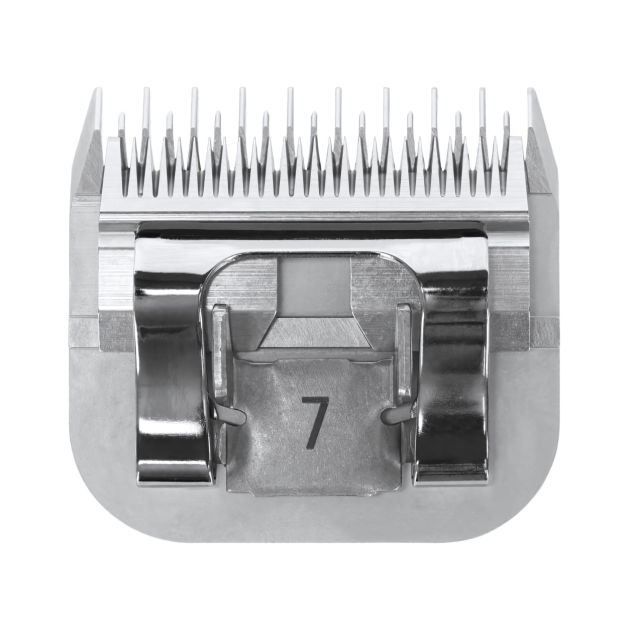 Cutting head Cutting head