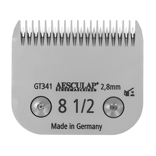 Cutting head Cutting head