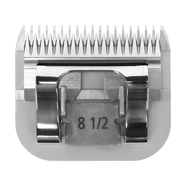 Cutting head Cutting head