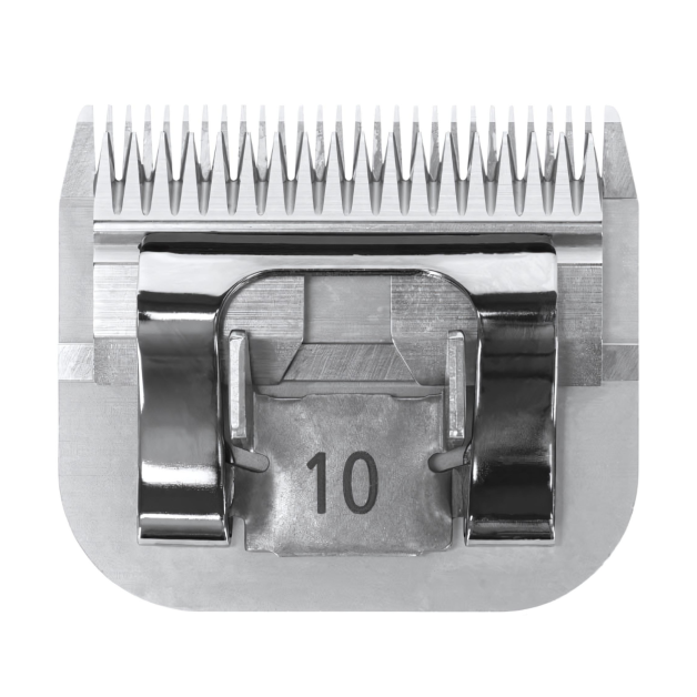 Cutting head Cutting head