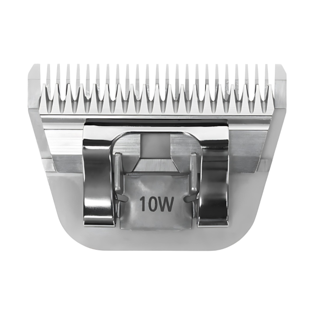 Cutting head Cutting head