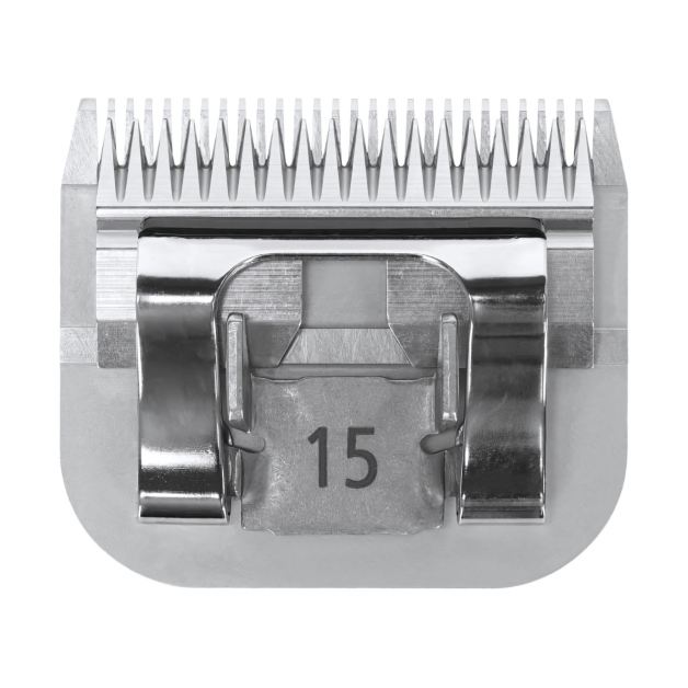 Cutting head Cutting head