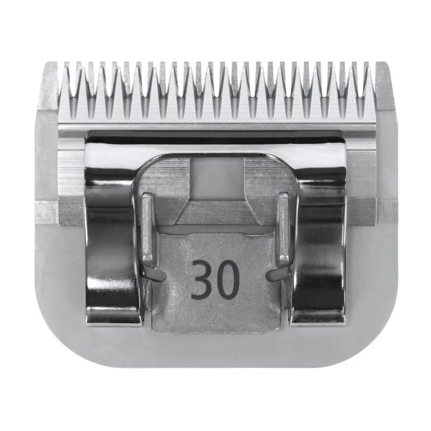 Cutting head Cutting head