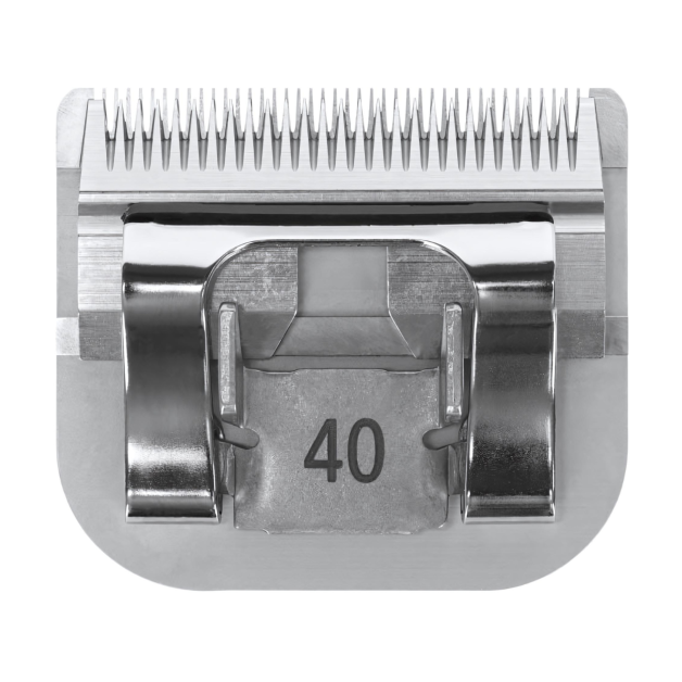 Cutting head Cutting head