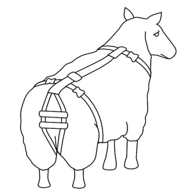 Oplossingen voor de preventie van een verzakking Oplossingen voor de preventie van een verzakking