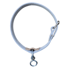 Chromen leren halsbanden voor schapen Chromen leren halsbanden voor schapen