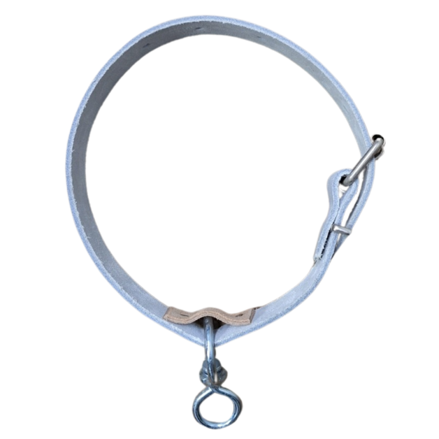 Chromen leren halsbanden voor schapen Chromen leren halsbanden voor schapen