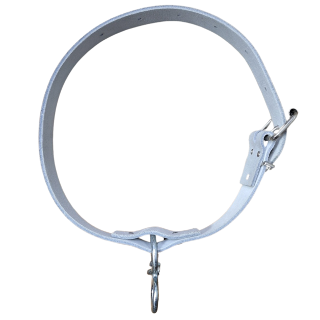 Chromen leren halsbanden voor schapen Chromen leren halsbanden voor schapen