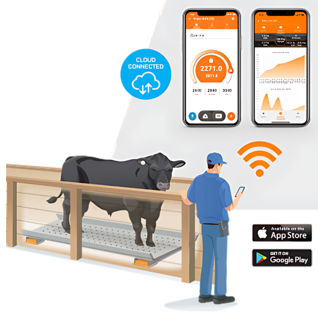 Barres de pesage sans fil Gallagher Barres de pesage sans fil Gallagher