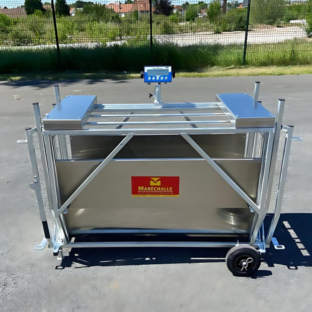 Weighing cage for sheep