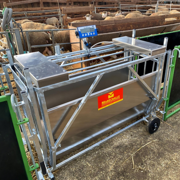 Weighing cage for sheep Weighing cage for sheep