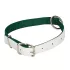 Collier en nylon mouton : Couleur:Vert