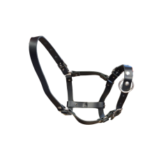 Sheep and alpaca halter