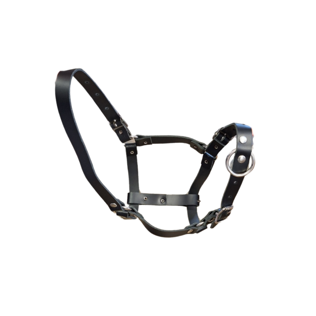 Sheep and alpaca halter Sheep and alpaca halter