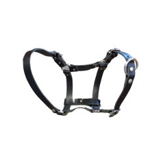 Sheep and alpaca halter