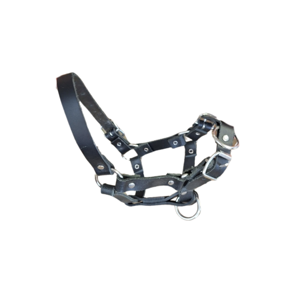 Sheep and alpaca halter