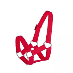 Sheep and alpaca halter