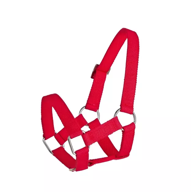 Schapen- en alpacahalster Schapen- en alpacahalster