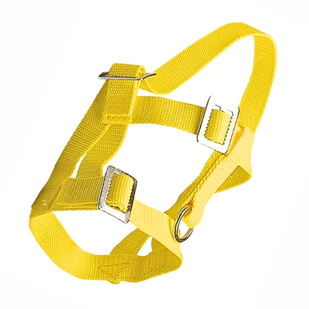 Sheep and alpaca halter Sheep and alpaca halter