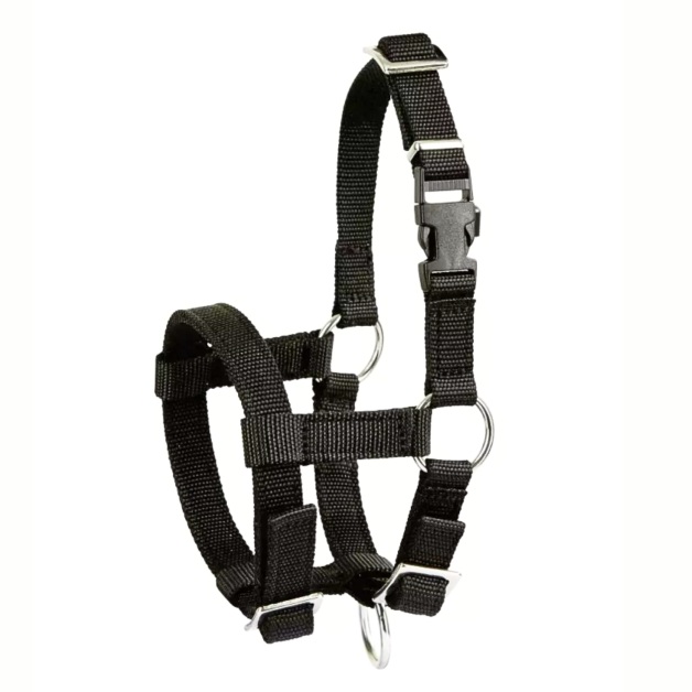 Sheep and alpaca halter Sheep and alpaca halter