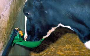 LA BUVETTE specialist in watering