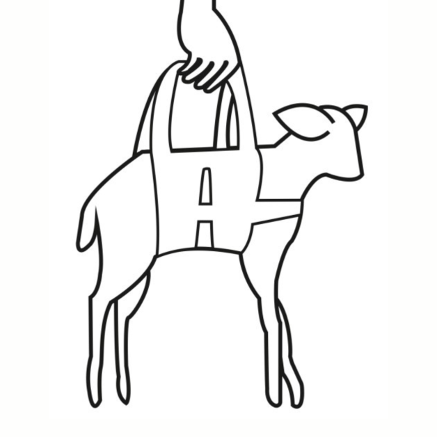 Harnais de pesage pour agneau et chevreau