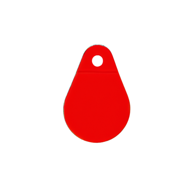 Élastiques et médaillons