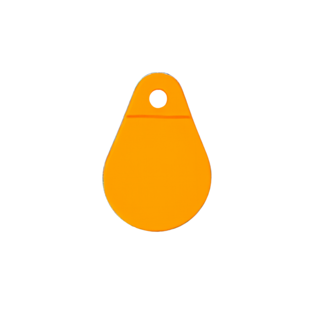 Élastiques et médaillons