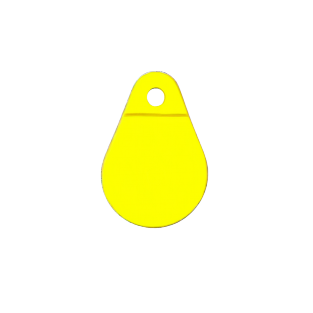 Élastiques et médaillons