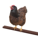 Lot de 2 perchoirs pour poules