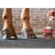 Kevin Bacon’s Liquid Hoof Dressing 500ml